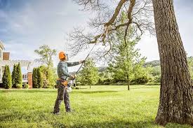 Reliable Hephzibah, GA Tree Removal Solutions